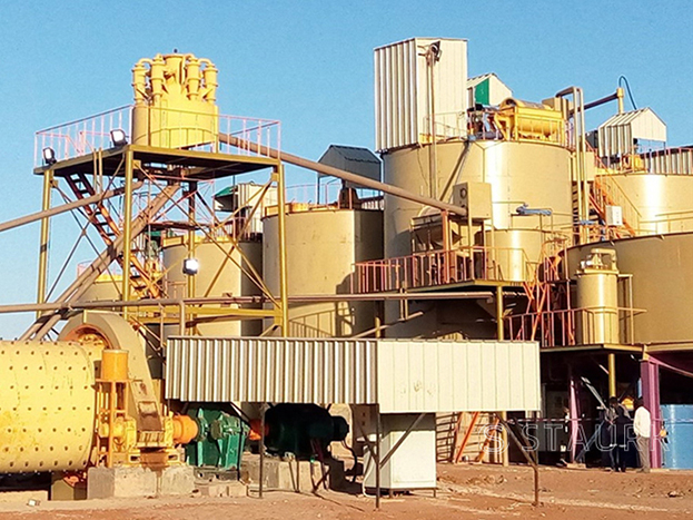 Gold ore processing plant machine CIL CIP leaching line concentrate